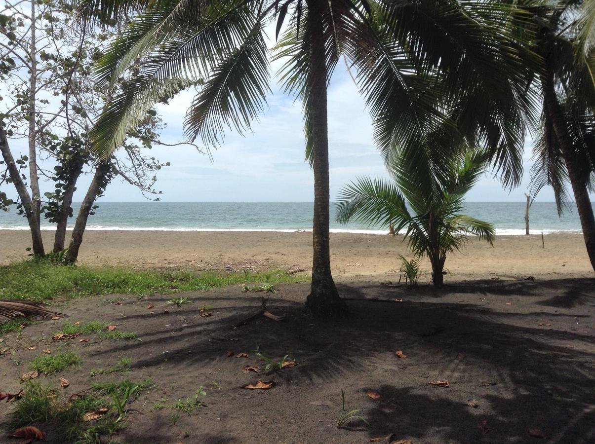 Pineapple House Manzanillo Villa Bagian luar foto