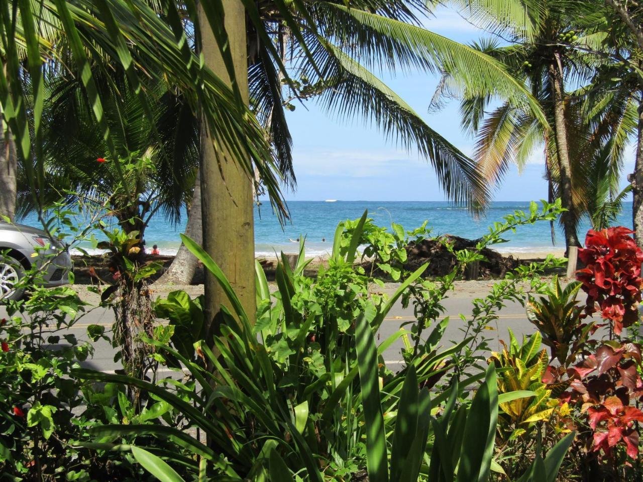 Pineapple House Manzanillo Villa Bagian luar foto