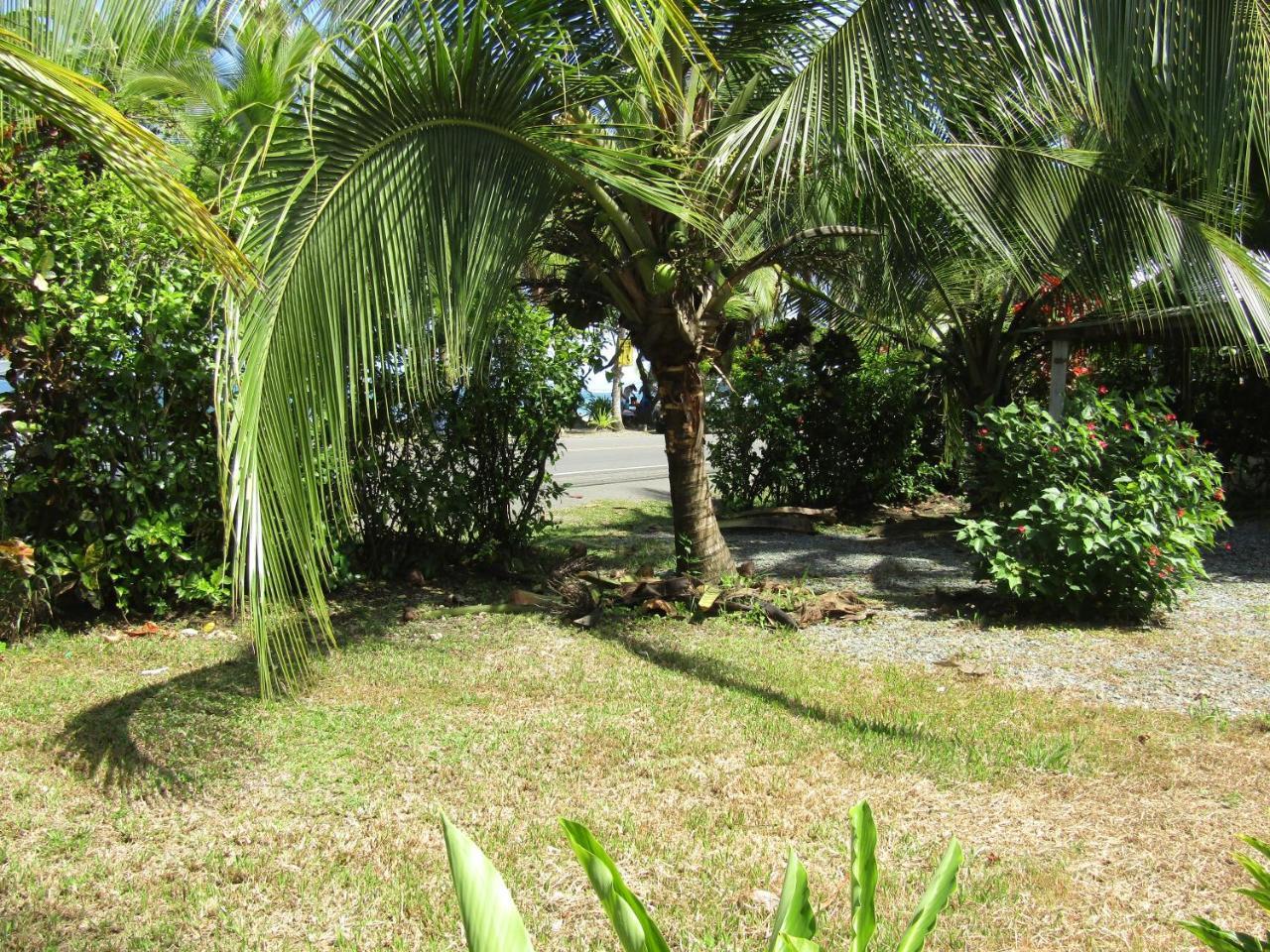 Pineapple House Manzanillo Villa Bagian luar foto
