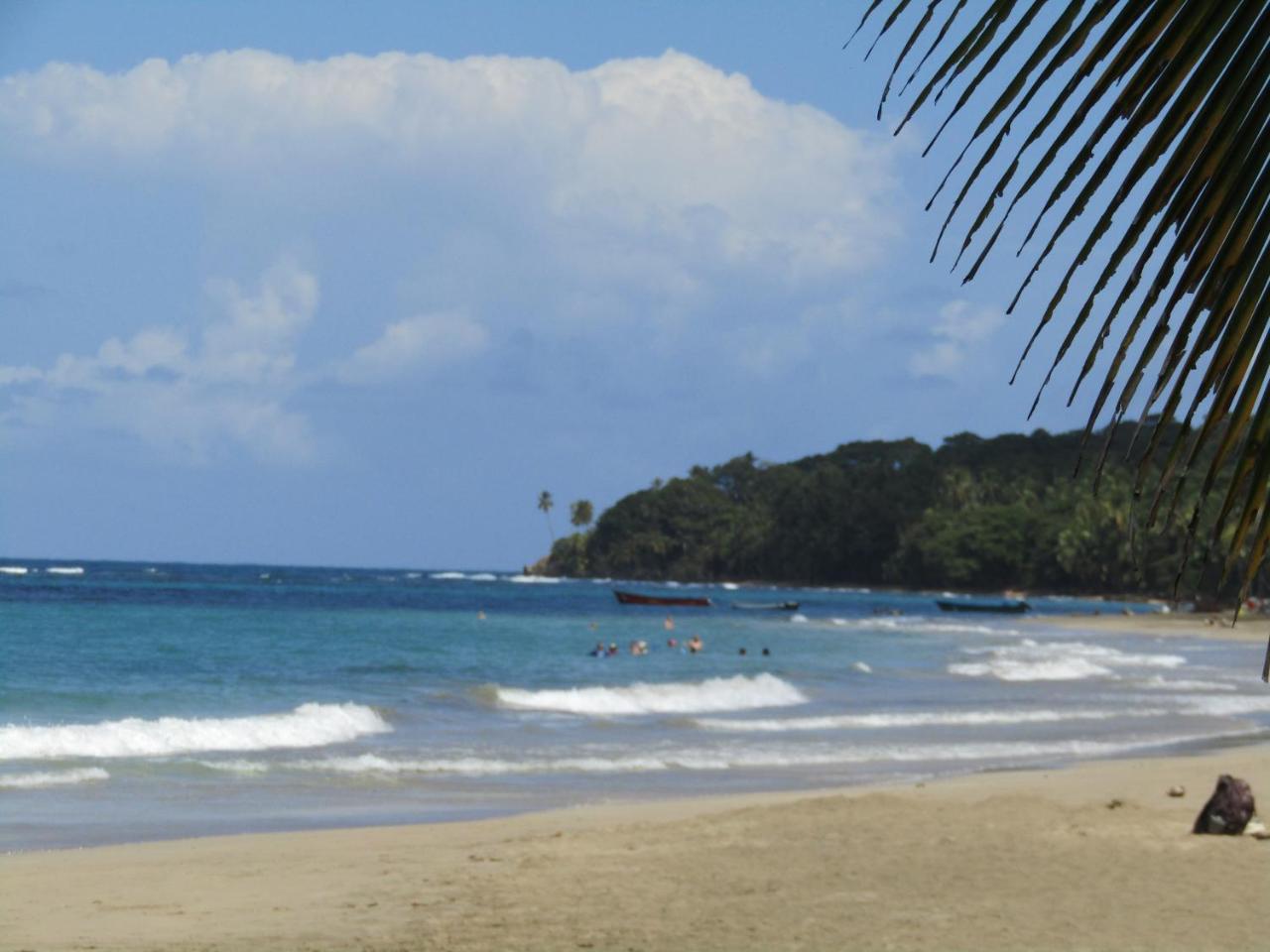 Pineapple House Manzanillo Villa Bagian luar foto