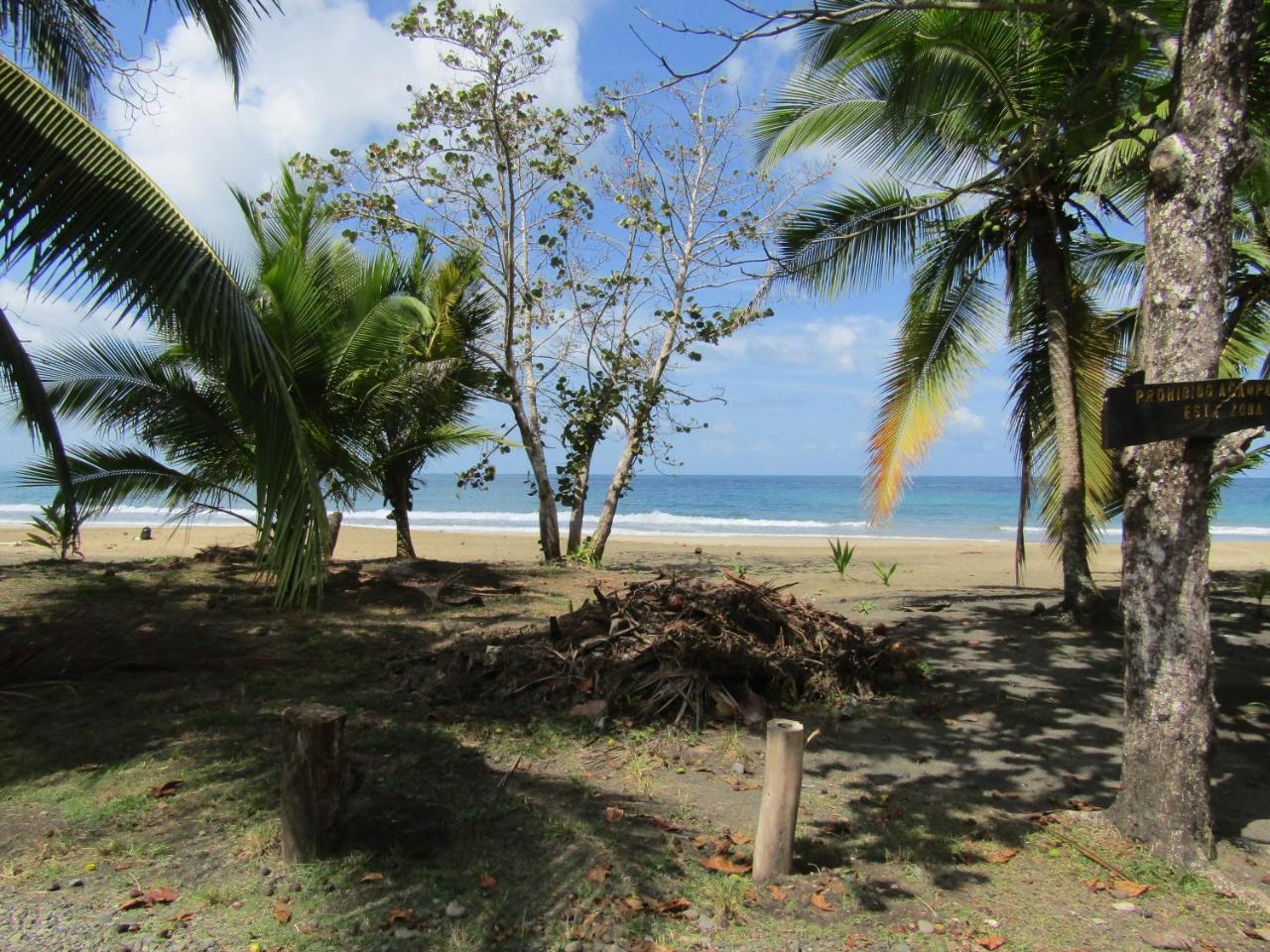 Pineapple House Manzanillo Villa Bagian luar foto