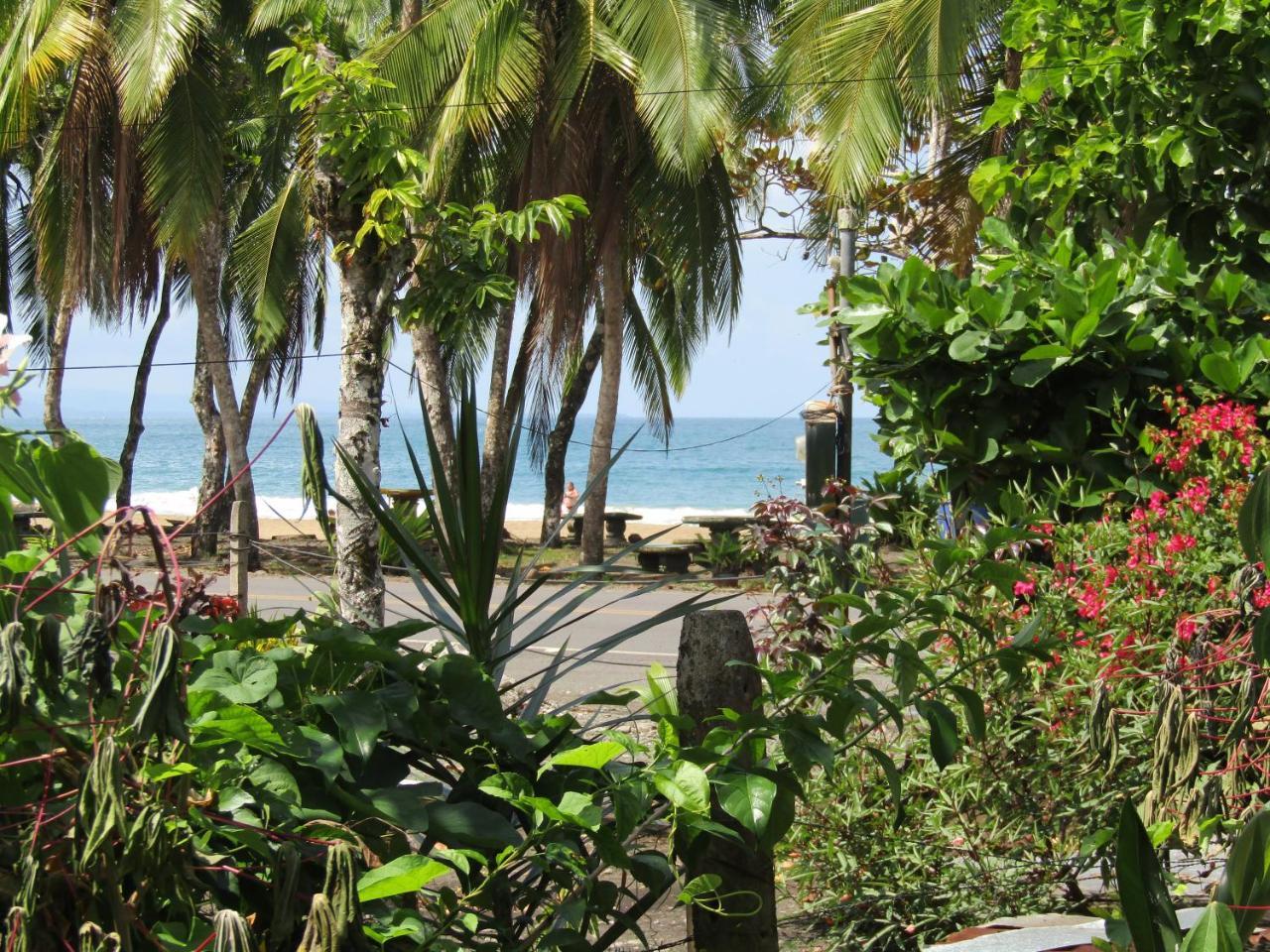 Pineapple House Manzanillo Villa Bagian luar foto