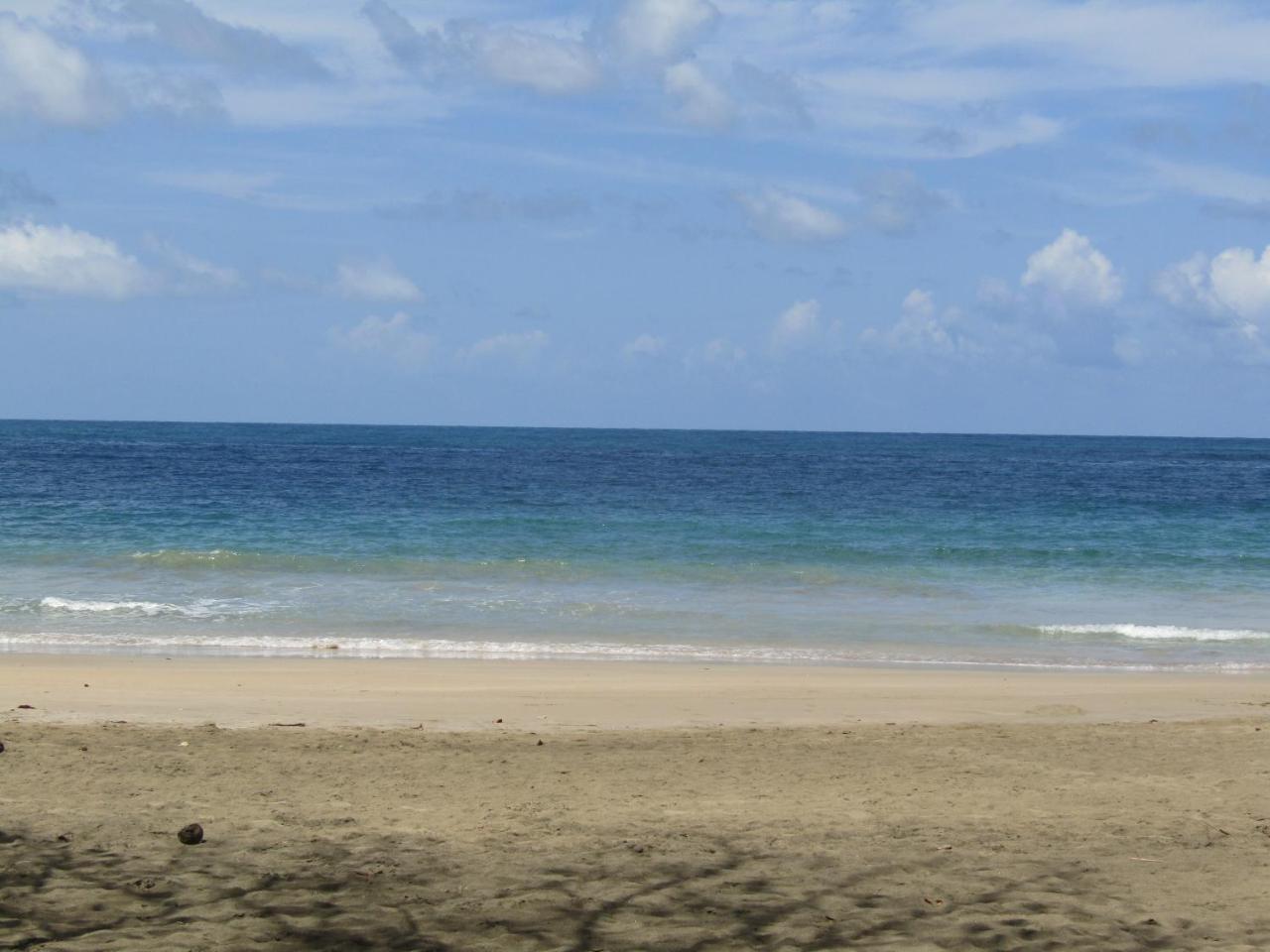 Pineapple House Manzanillo Villa Bagian luar foto
